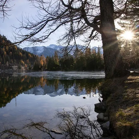 Apartament Alpes Et 40 By Interhome Champex-Lac